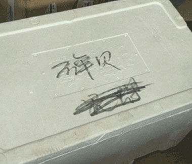 航空快運海鮮